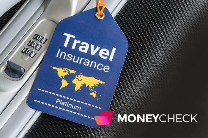 Insurance travelers travlers